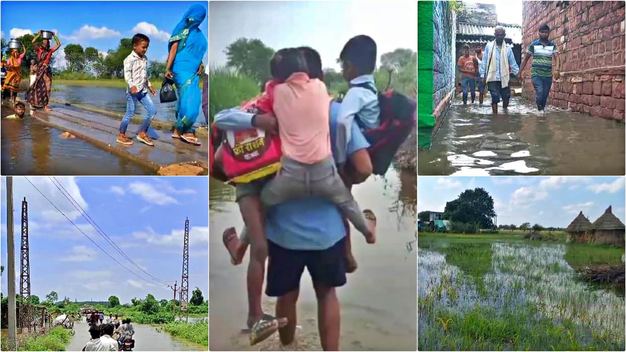 Rajasthan Flood: rain disaster marks still remain in Dholpur farmers' crops destroyed water filled in houses