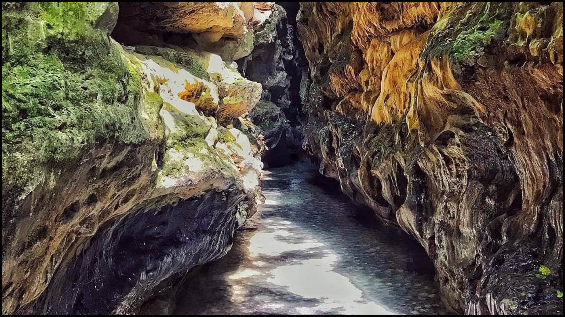 Tourism Day 2025: Explore These Destinations in India Under Rs 5000 Budget Friendly Places to Visit in India