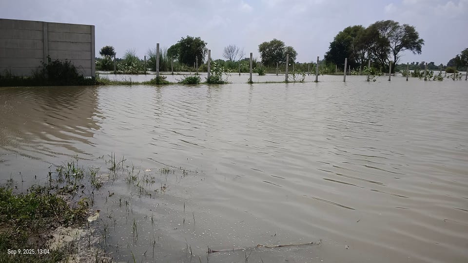 UP Floods Yamuna water entered in houses and crisis on more than 100 colonies in agra