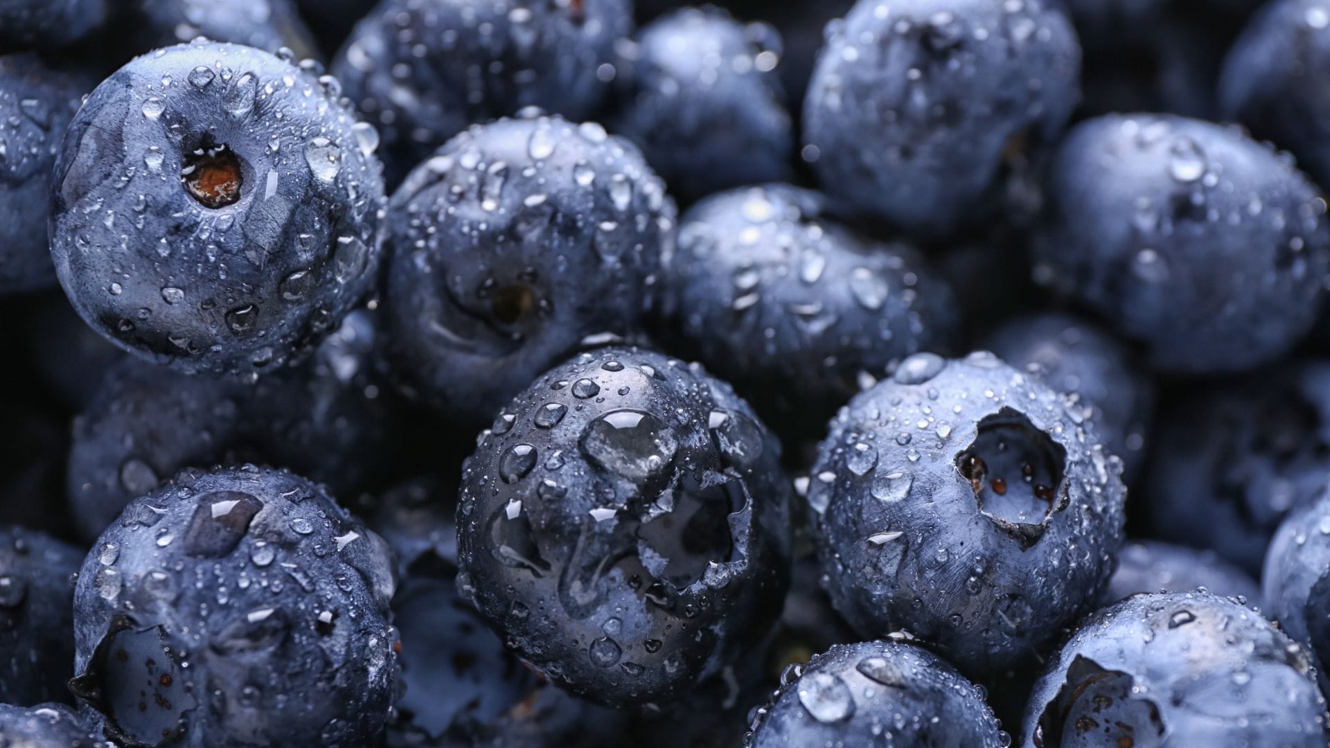 Eating blueberries every day keeps heart diseases away know study in hindi