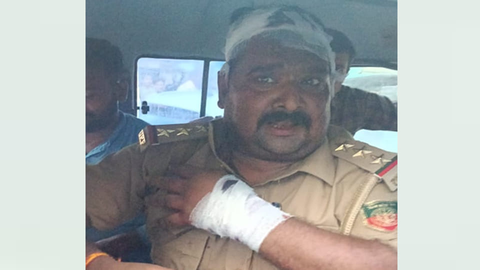 Etawah: Team which reached to stop felling of banned wood was attacked, deputy ranger injured
