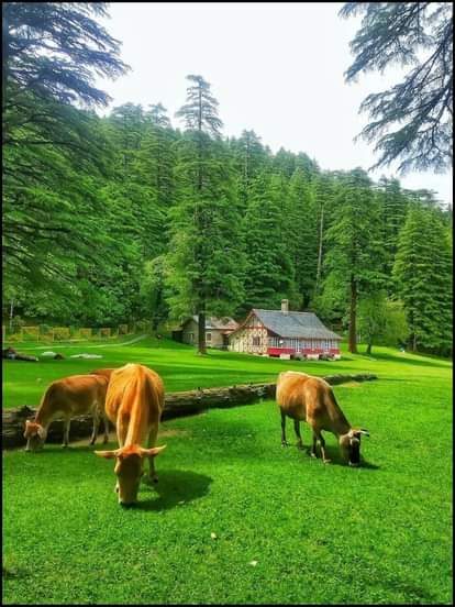 खज्जियार