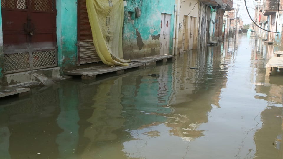 flood in mathura: crops and houses damaged due to flood MP Hema Malini inspected flood relief camp