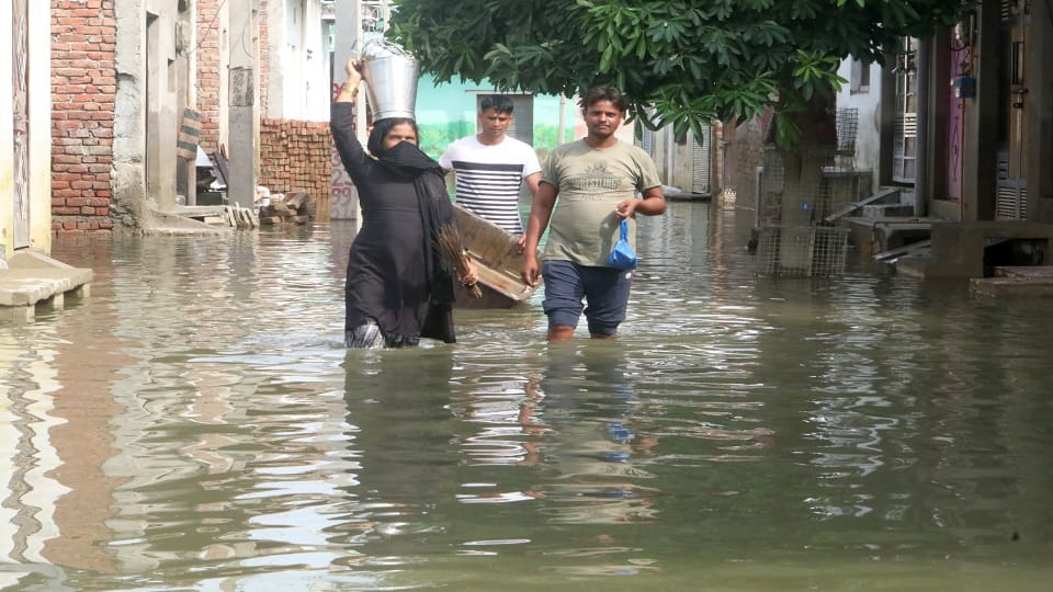 flood in mathura: crops and houses damaged due to flood MP Hema Malini inspected flood relief camp