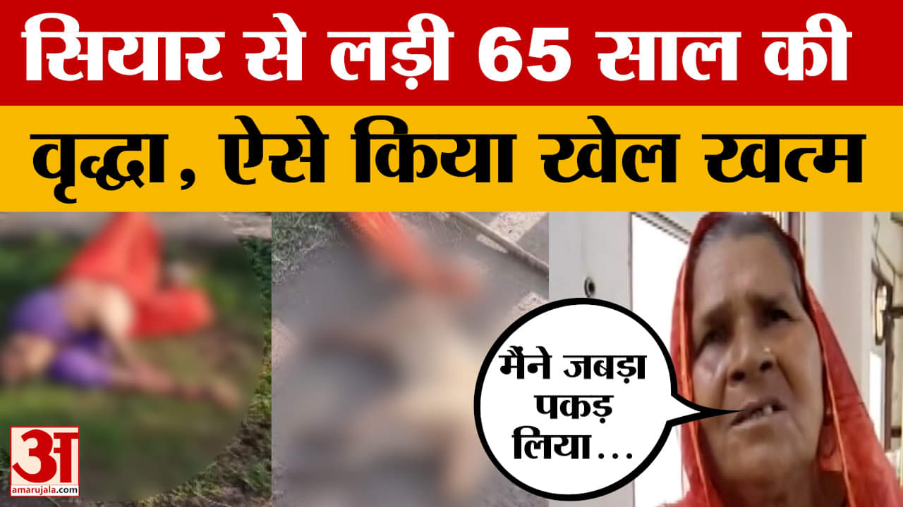 Shivpuri : पकड़ा जबड़ा...साड़ी को बनाया हथियार और फिर कर दिया खूंखार सियार का काम तमाम |