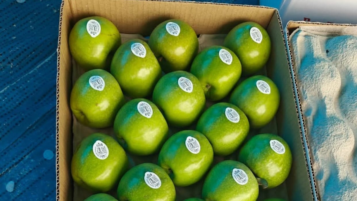 Himachal Apple Green apple outperforms red apple Granny Smith sold at Rs 110 per kg in Delhi