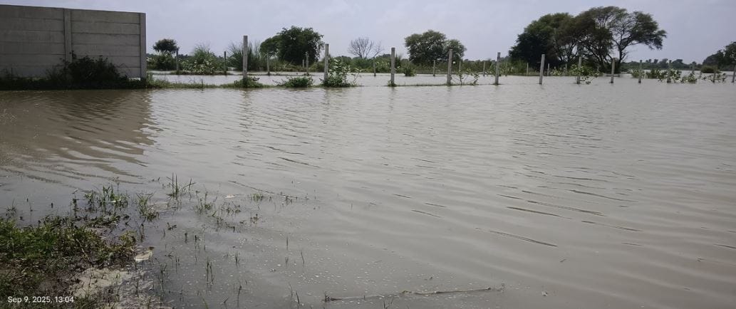 Illegal Constructions Flourish in Yamuna Flood Zone Despite NGT Orders: Bulldozer Action Stalled