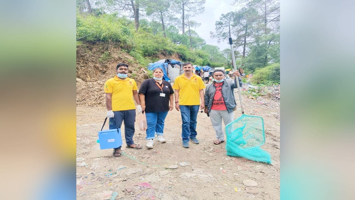 3,507 dogs were given anti-rabies vaccine in Shimla, the campaign ran from 15 to 29 August