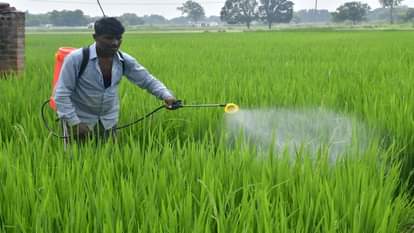 ICMR Warns: Rising Mental Disorders Linked to Pesticides; Calls for National Monitoring Program