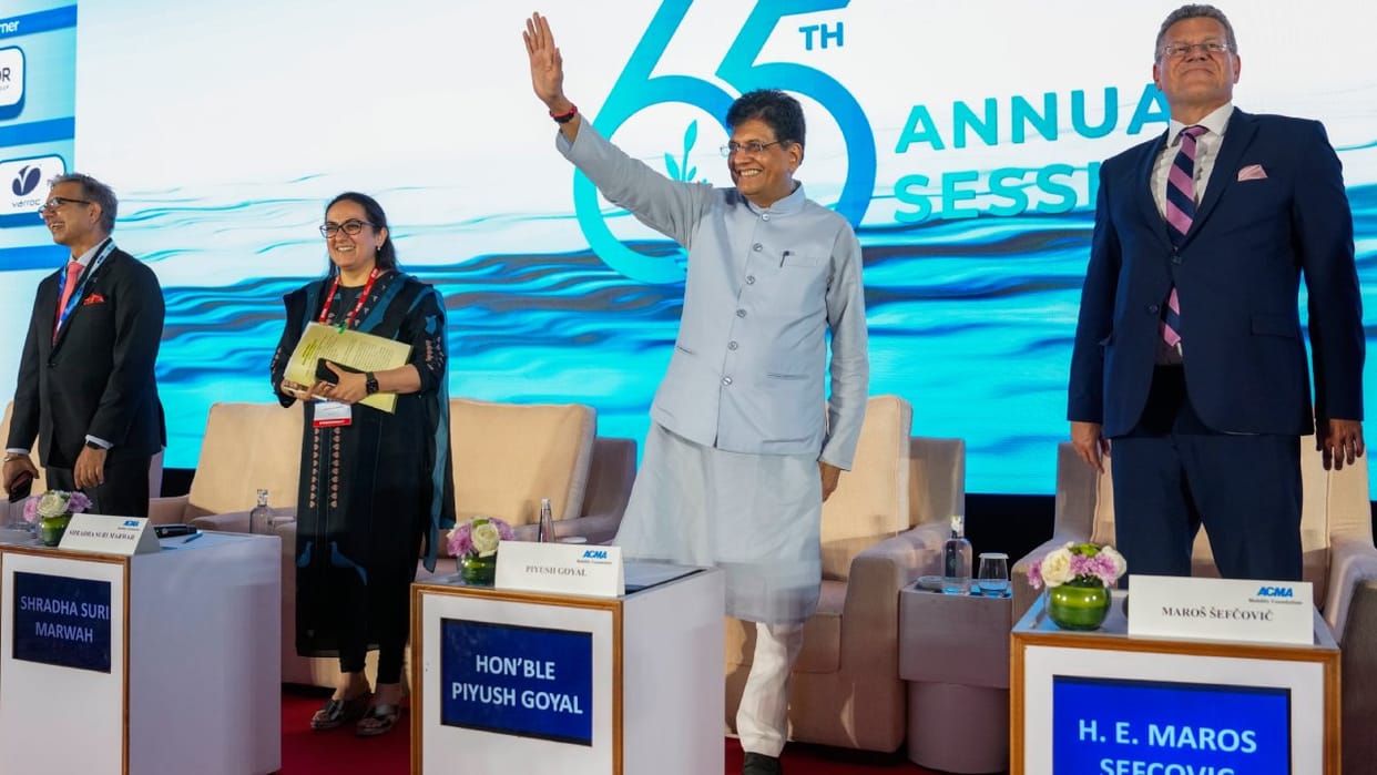 India, EU working sincerely to finalise balanced free trade pact: Goyal