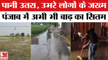 Punjab Flood Update: Punjab is in trouble due to floods! This is the situation there now | AmarUjala | Flood