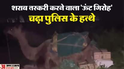 ऊंट से करते थे शराब की तस्करी