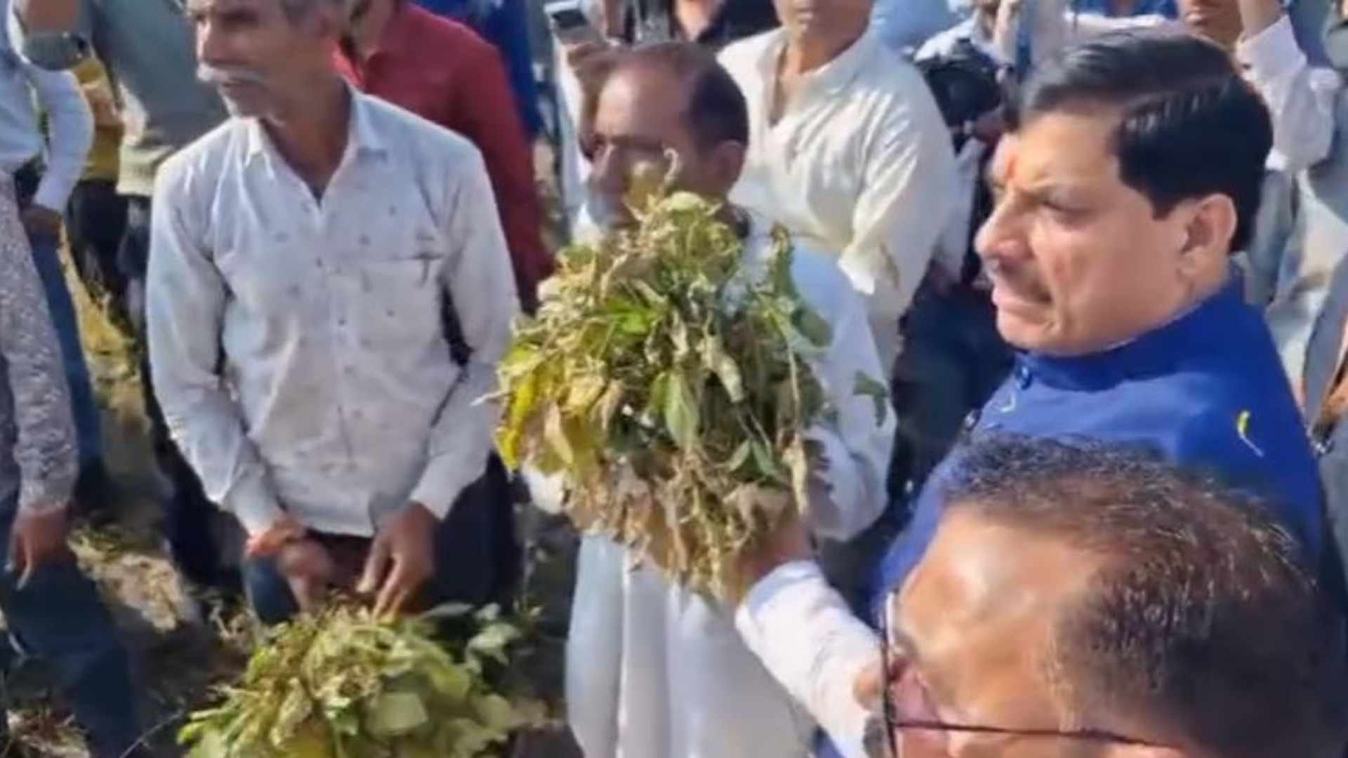 फसल निरीक्षण के दौरान फूटा सीएम का गुस्सा