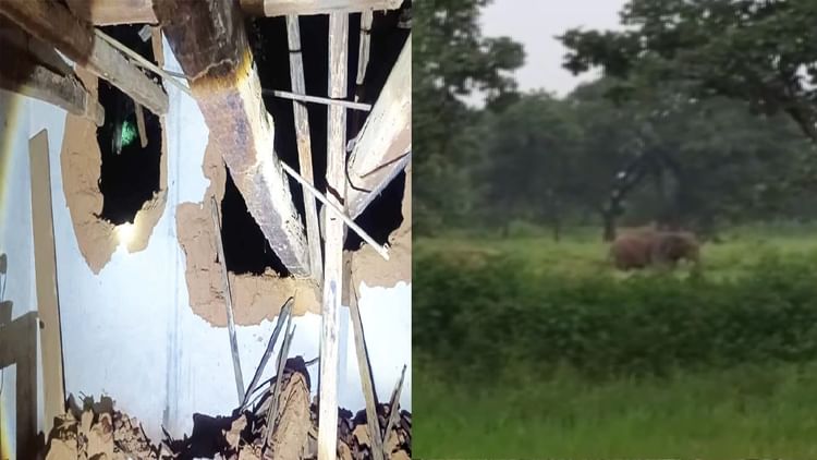 गांव में हाथियों का आतंक: मकान तोड़ा, कमरे में दुबककर परिवार ने बचाई जान, रतजग्गा करने को मजबूर ग्रामीण