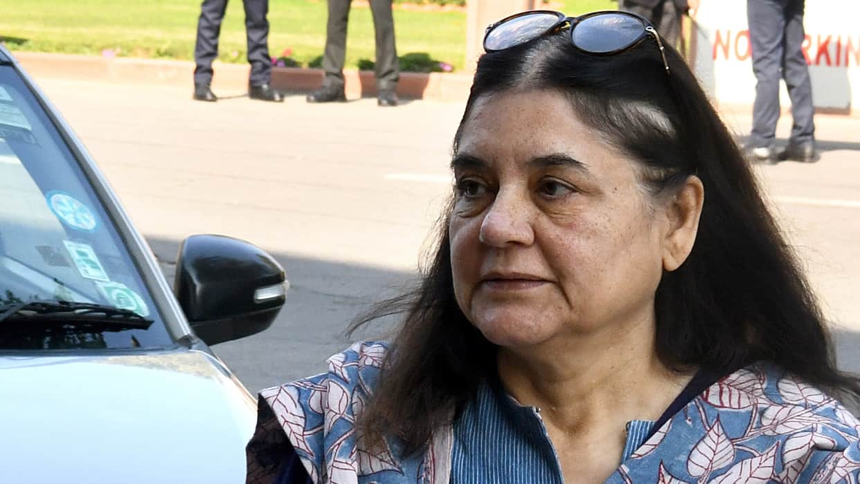 Maneka Gandhi called Supreme Court order impractical said compassion towards animals is necessary