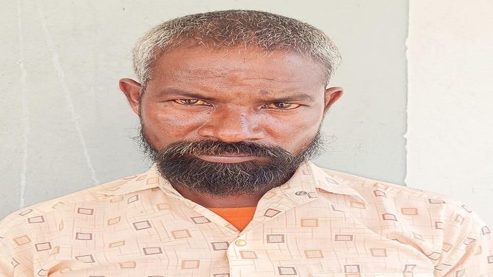 पुलिस की गिरफ्त में आरोपी