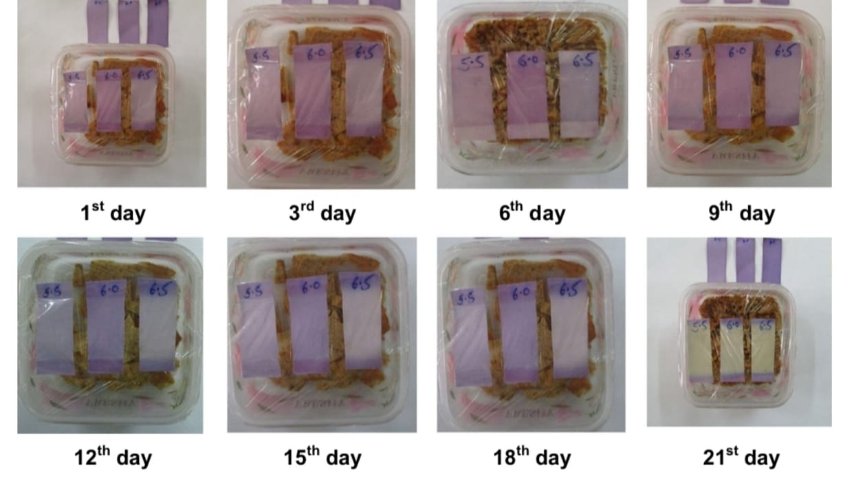 One rupee indigenous sensor kit will tell whether the meat is fresh or stale