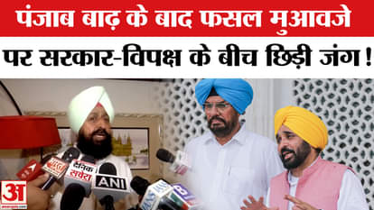 Punjab Flood Crisis: Leader of Opposition made this big demand regarding crop compensation after Punjab floods