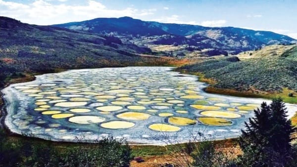 Something different Unique views of Spotted Lake In Canada confluence of science and spirituality