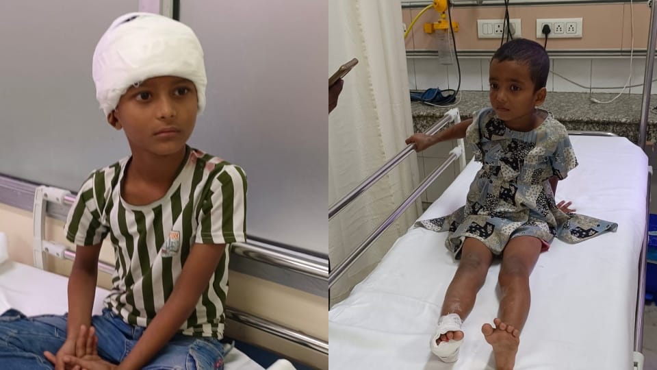 Brick fell from a house under construction two innocent children injured brother and sister admitted to hospit