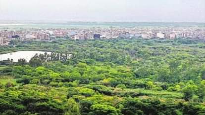 दिल्ली में हरियाली...