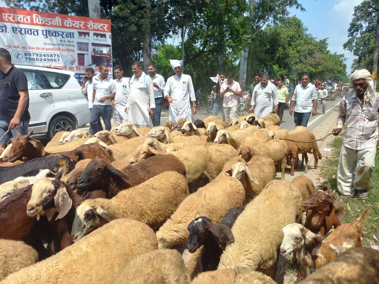 Bijnor News: Farmers tie cattle at DFO office in protest against leopard attacks in Bijnor