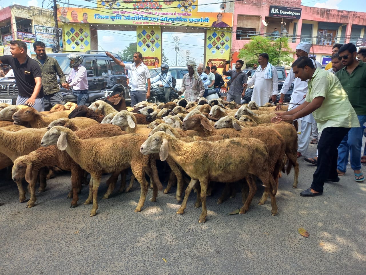 Bijnor News: Farmers tie cattle at DFO office in protest against leopard attacks in Bijnor