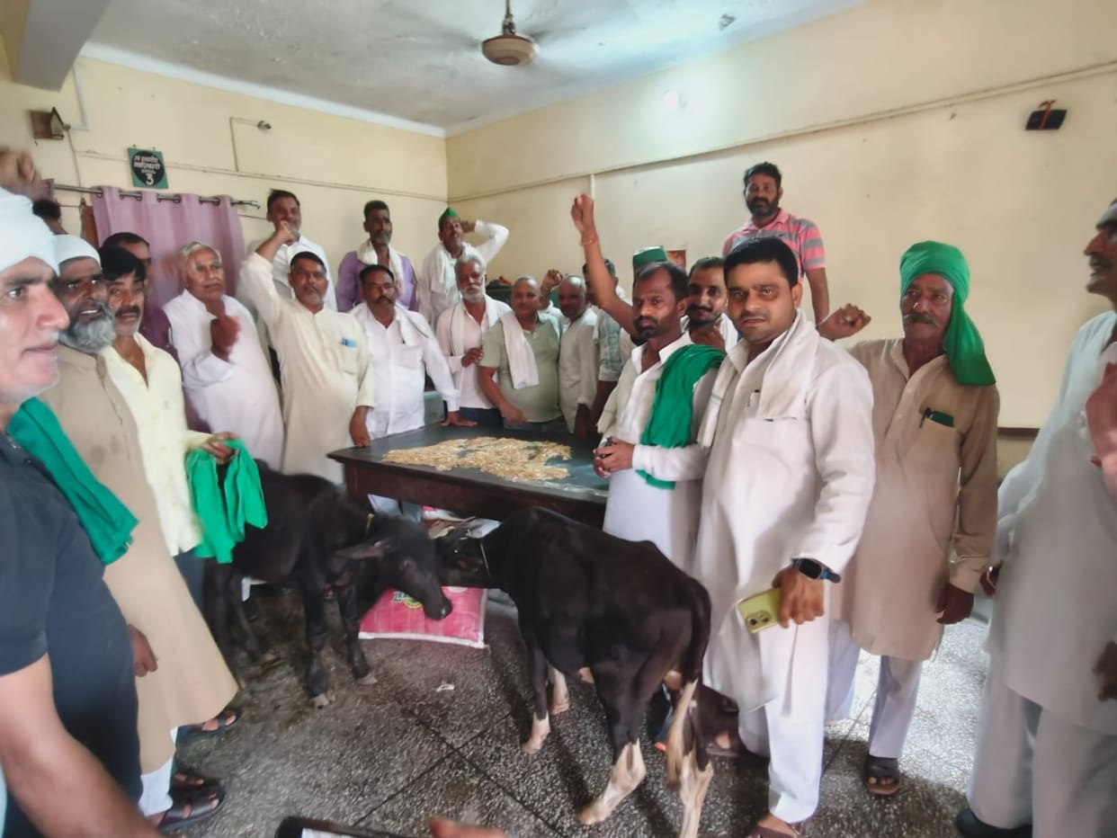 Bijnor News: Farmers tie cattle at DFO office in protest against leopard attacks in Bijnor