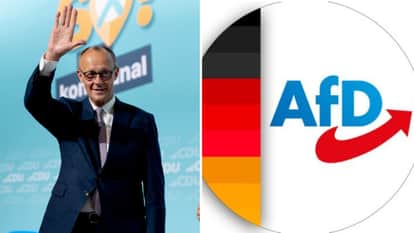 फ्रेडरिक मर्ज, एएफडी