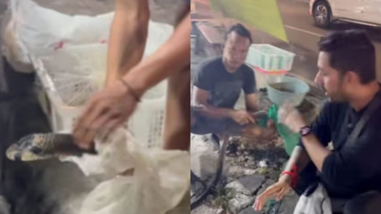 People here eat cobra pakoras with tea poisonous snakes are sold on the streets at high prices Video Viral