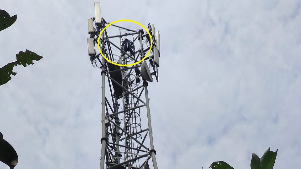 girl climbed a mobile tower