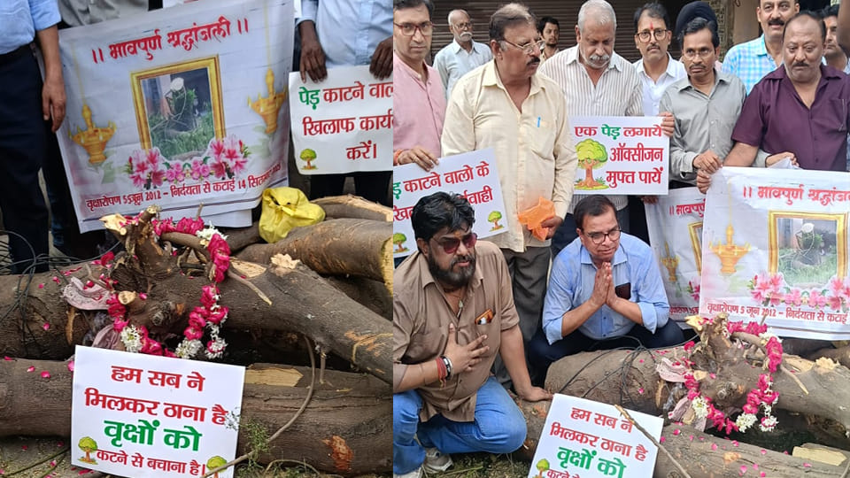 Kanpur: In Ashoknagar, people protested by sitting near branches of trees cut in the name of pruning