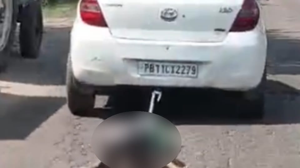 dog found dead outside shop shopkeeper tied to back of car dragged it away