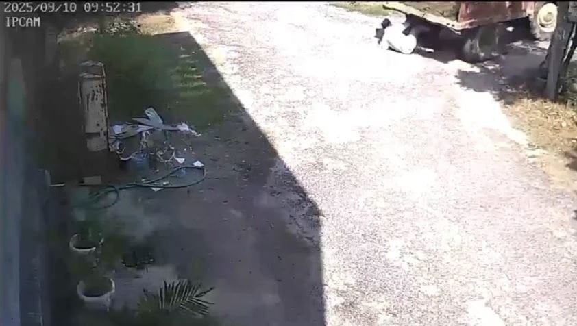 Furniture Worker Crushed by Tractor in Agra Video Goes Viral