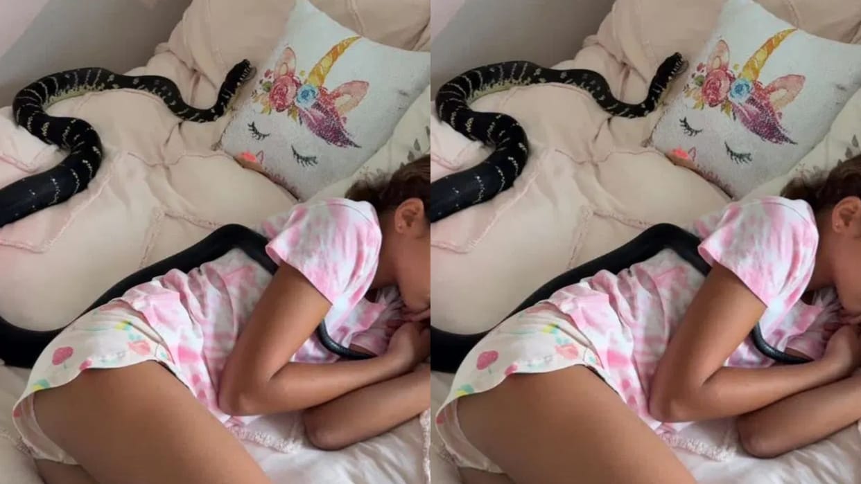 The girl was sleeping on the bed then a dangerous black snake was seen crawling on her Video Viral