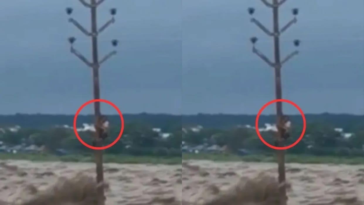 Cloudburst causes flood in Dehradun man climbs electric pole to save his life Video goes Viral on Internet