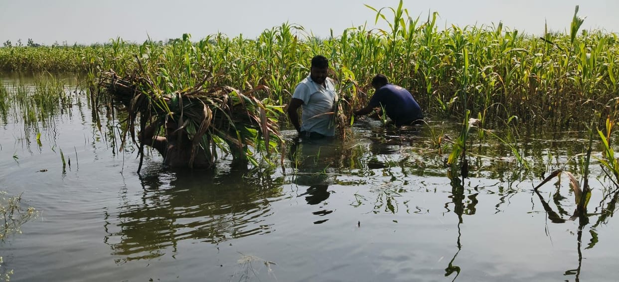 Meerut: Ganga in spate after cloudburst in Dehradun, danger increased in Hastinapur, panic in rural areas