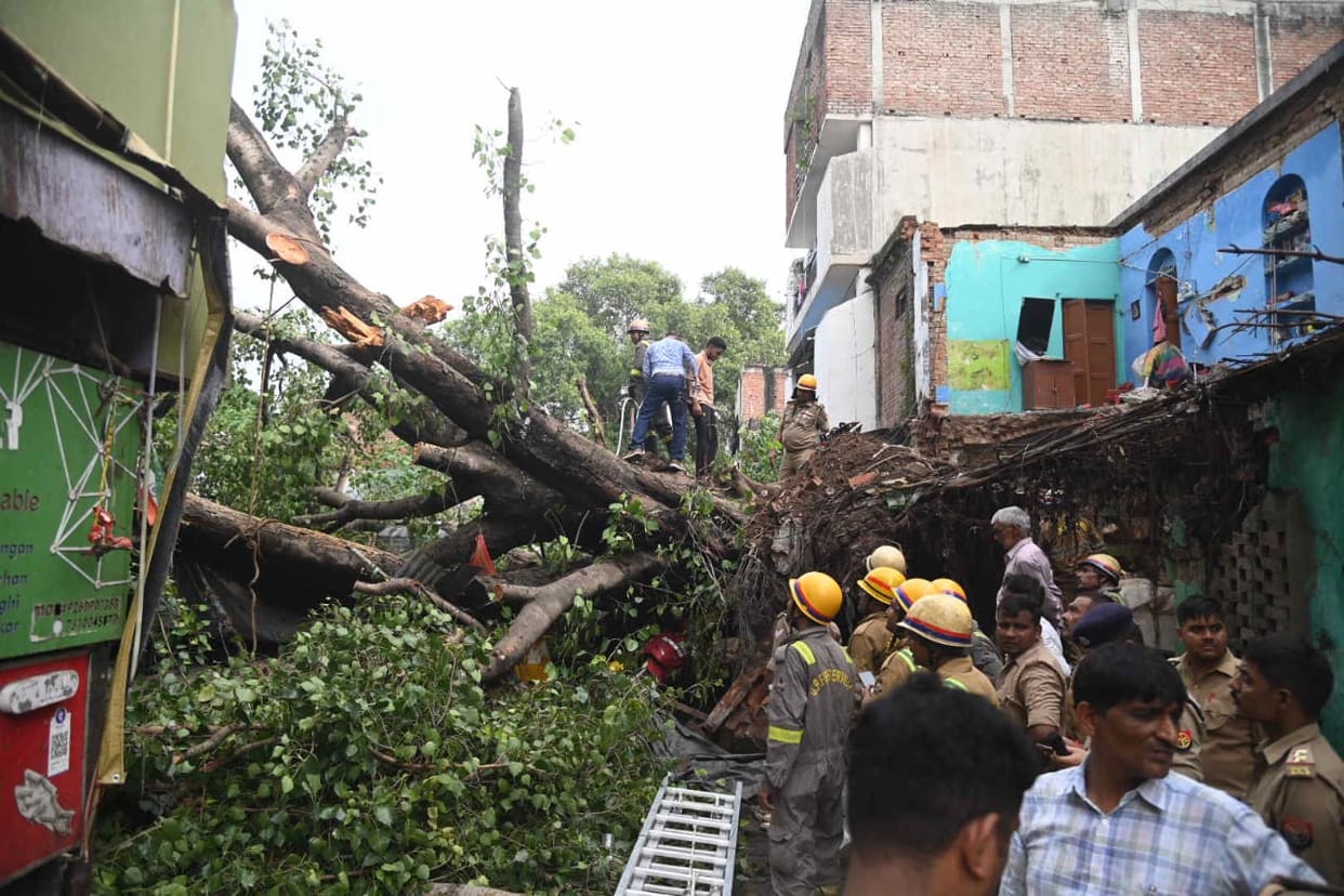 Lucknow: A huge peepal tree fell on the fish market, one died and four were injured