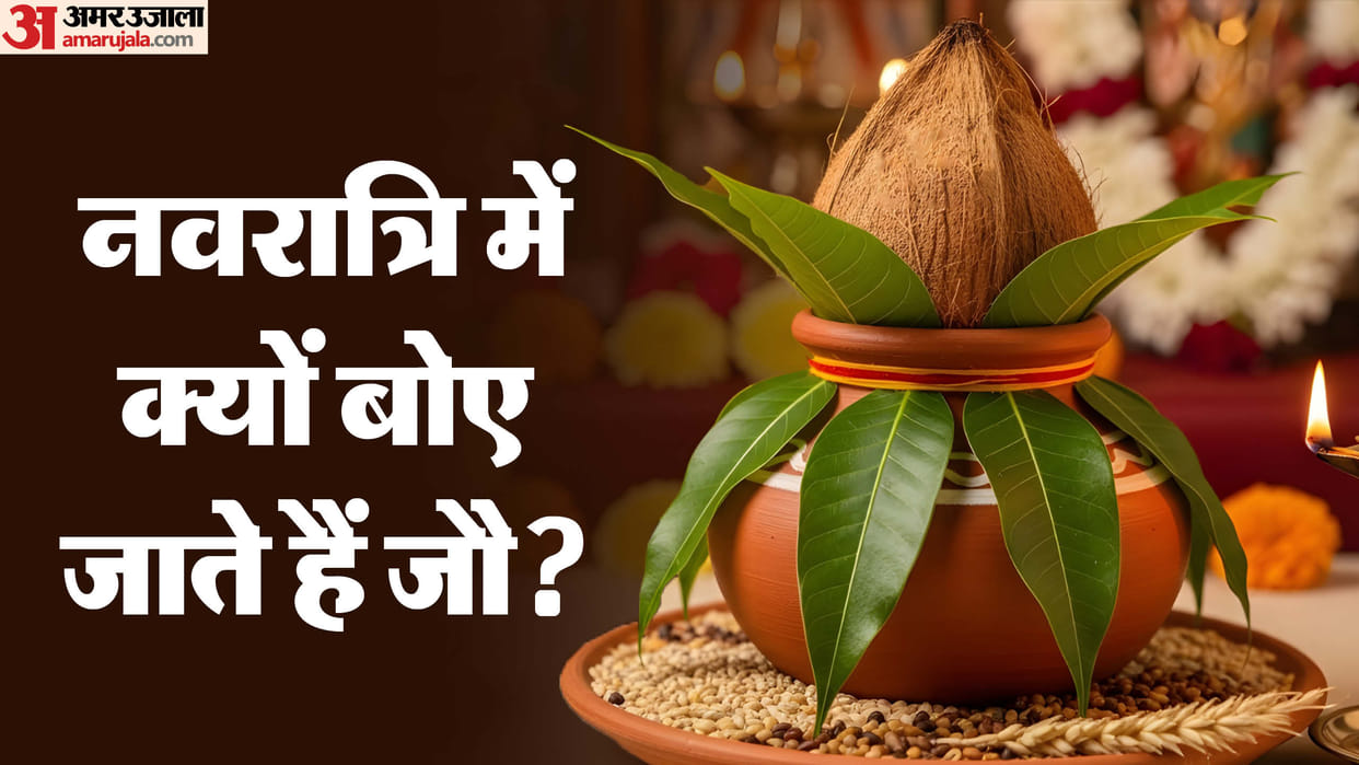 Shardiya Navratri 2025 Why Jau is Sown on Navratri First Day and Religious Significance