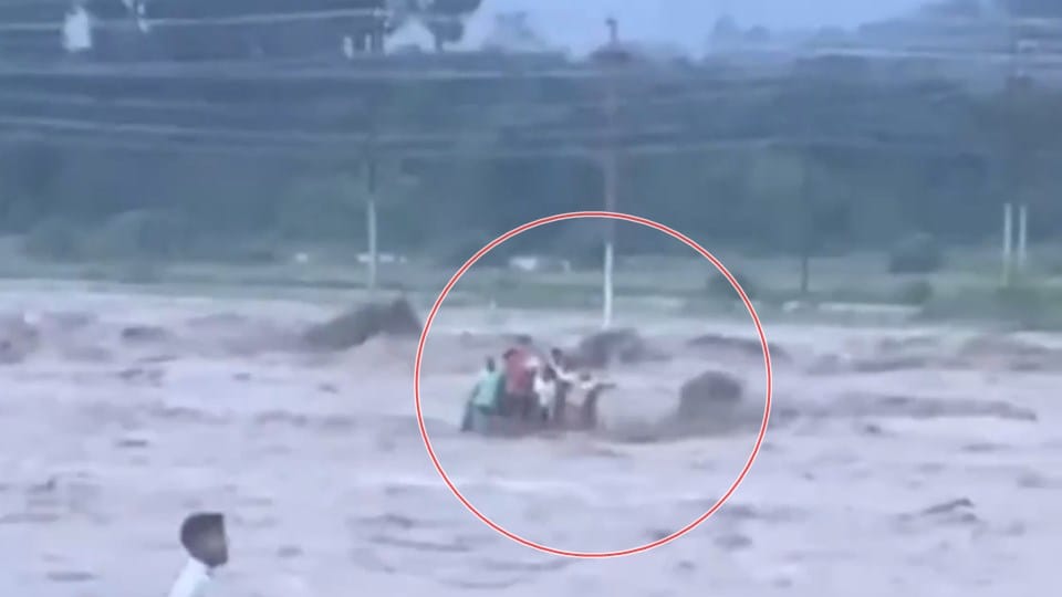 UP News Laborers from Moradabad Die After Drowning in Dehradun River see photos
