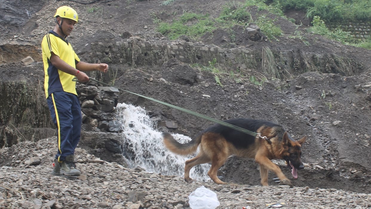 Dehradun Flood Six people from Saharanpur are missing in Phulet SDRF launches search operation