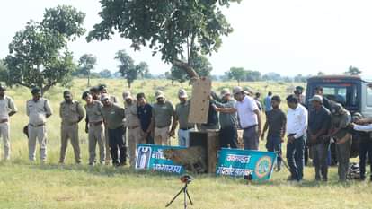 गांधी सागर में मादा चीता धीरा को छोड़ा