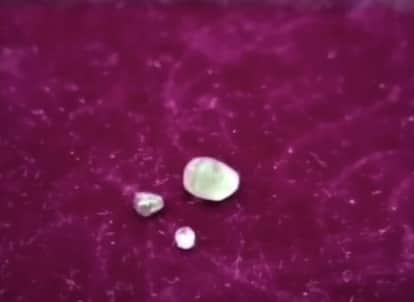 MP News: A tribal woman in Panna has found three priceless diamonds at once.