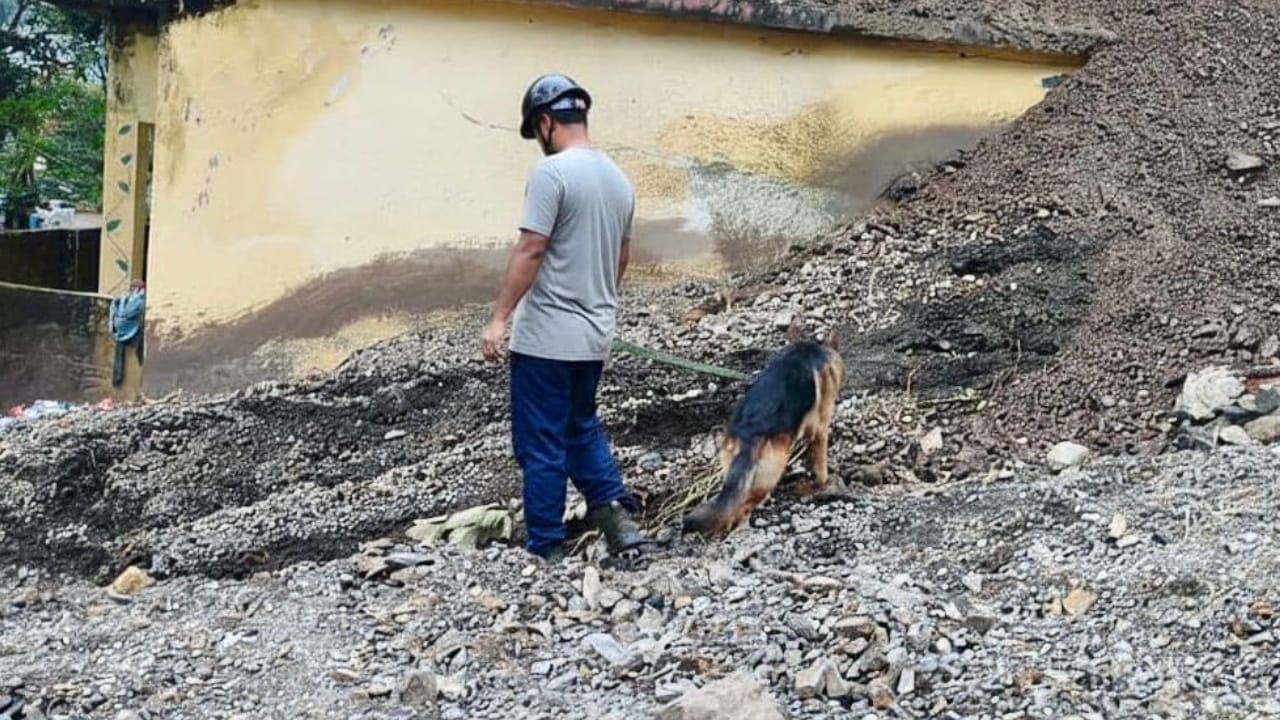Dehradun disaster Rescue operations underway to find missing people relief being provided to affected areas