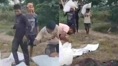 Sirohi News: 4450 kg of fungus-infested mung dal destroyed in Shivganj