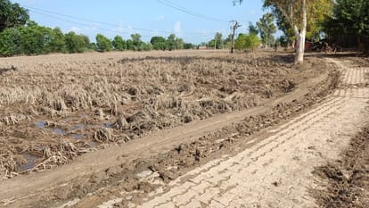 Five feet of sand accumulated in the fields of Tapu Kalu Wala village in Ferozepur