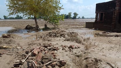 Five feet of sand accumulated in the fields of Tapu Kalu Wala village in Ferozepur