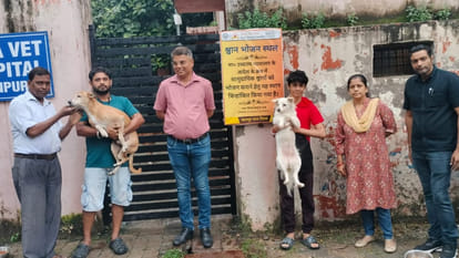 Kanpur: Municipal Corporation starts 55 dog feeding centres for stray dogs