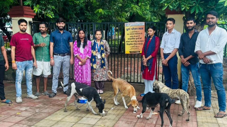 Kanpur: Municipal Corporation starts 55 dog feeding centres for stray dogs