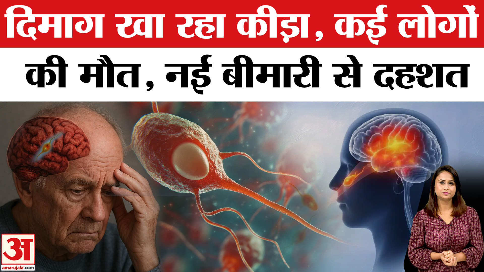 केरल ब्रेन ईटिंग अमीबा